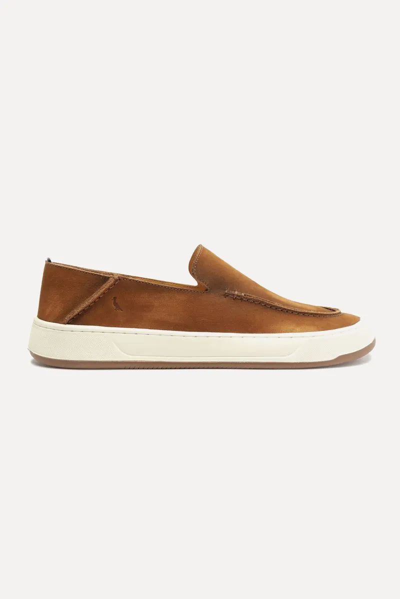 Tenis RSV Flander