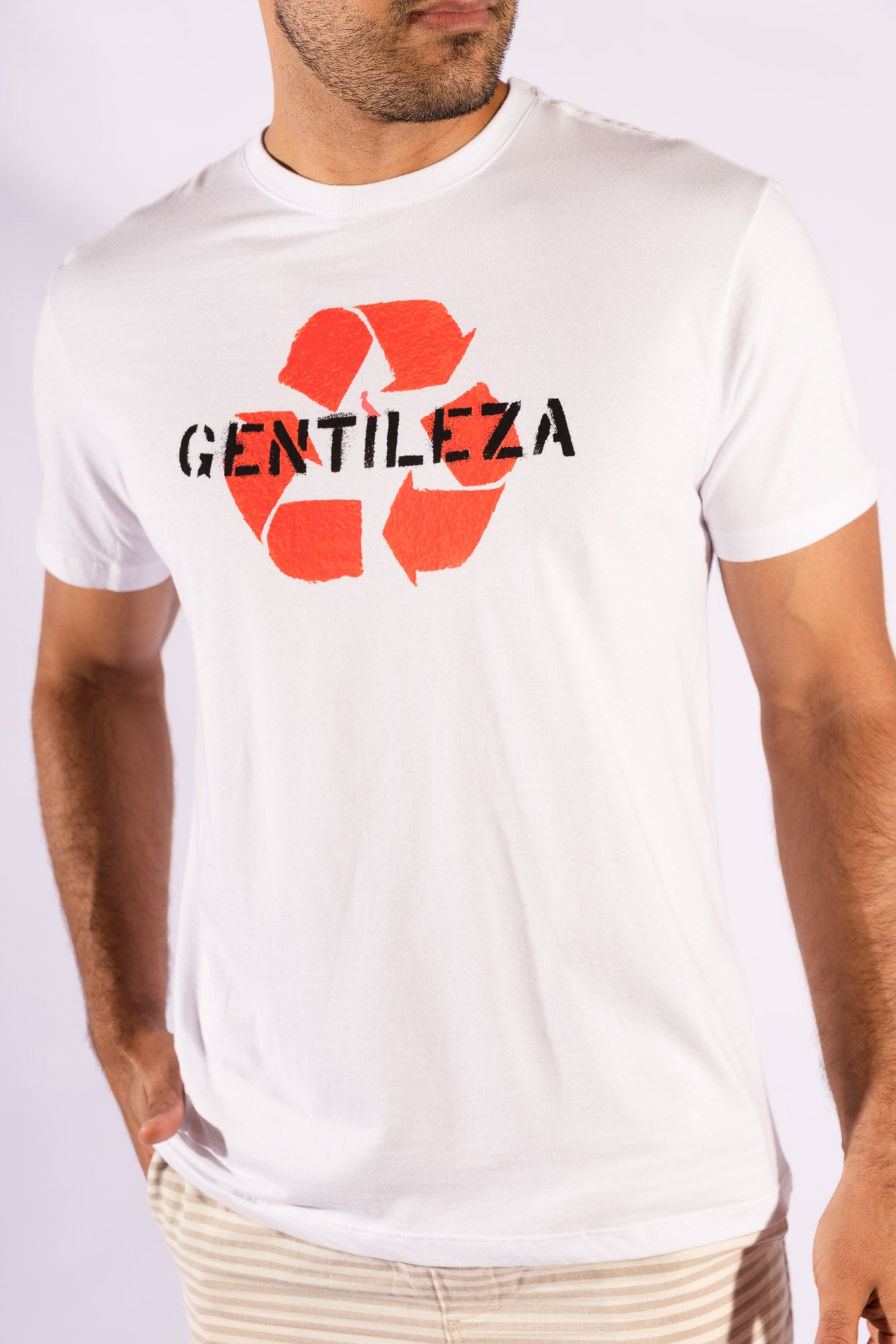 Camiseta Gentileza